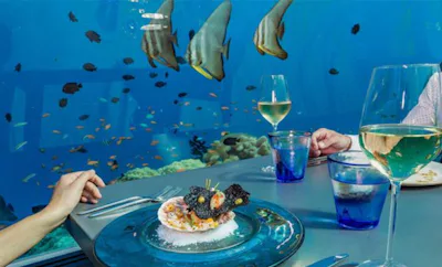 5.8 UNDERSEA RESTAURANT