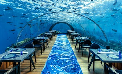 5.8 UNDERSEA RESTAURANT