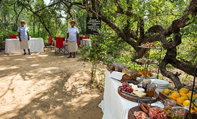 African Dining Experience