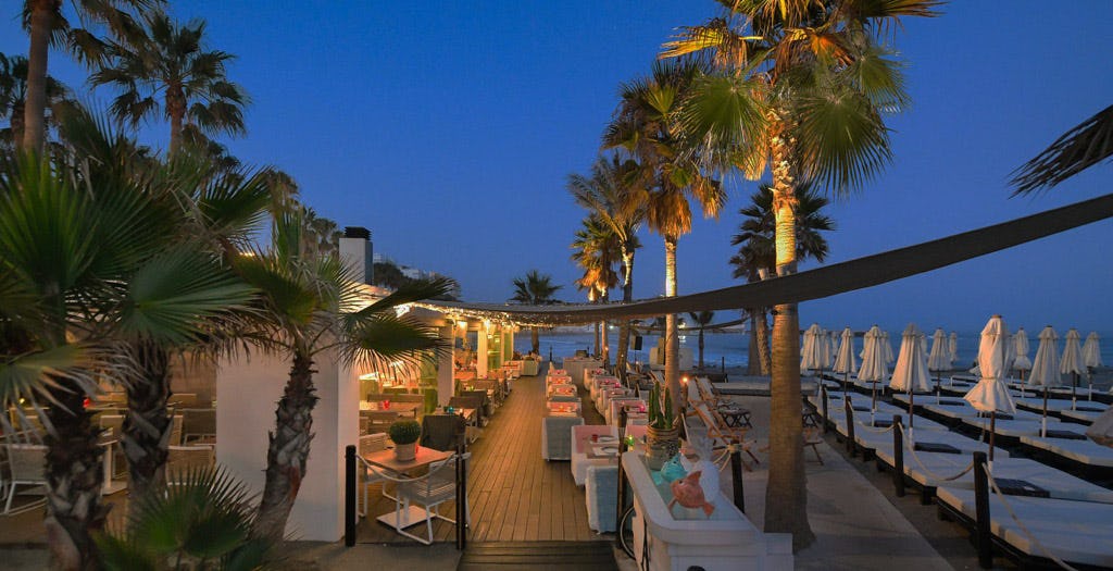 Amare Nights By Hayaca