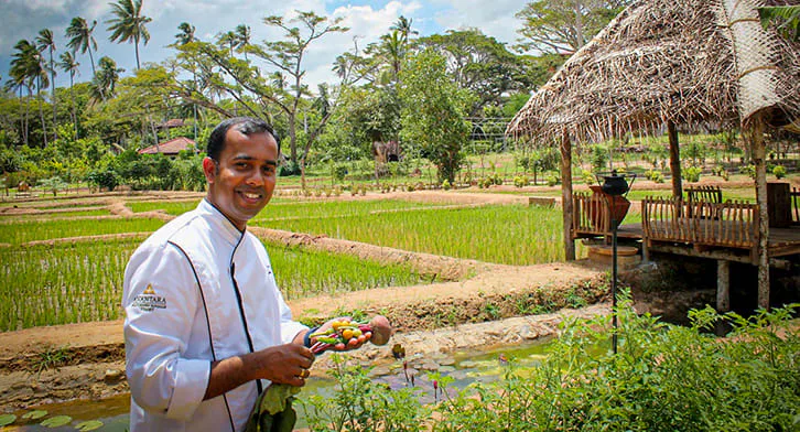 HARVEST TABLE BY ANANTARA