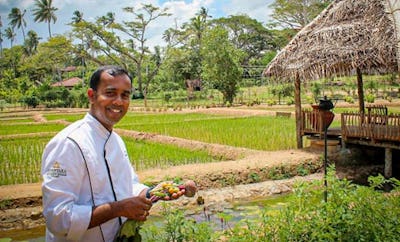 HARVEST TABLE BY ANANTARA