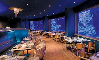 Aquamarine Fish Restaurant
