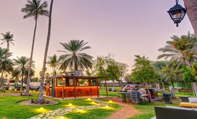 Aromatic Arabic at Mynah’s Edge