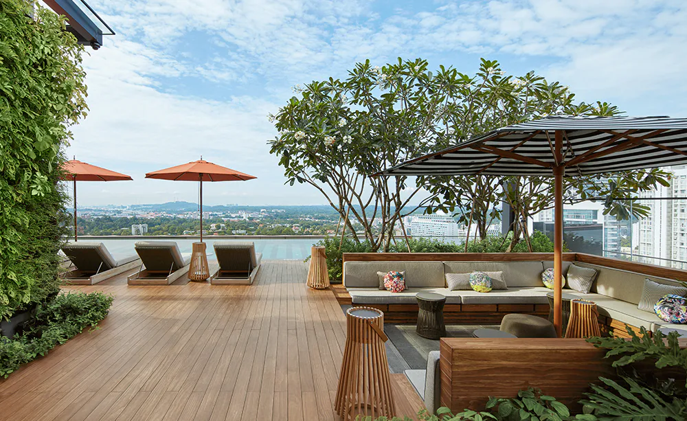 The Roof Garden