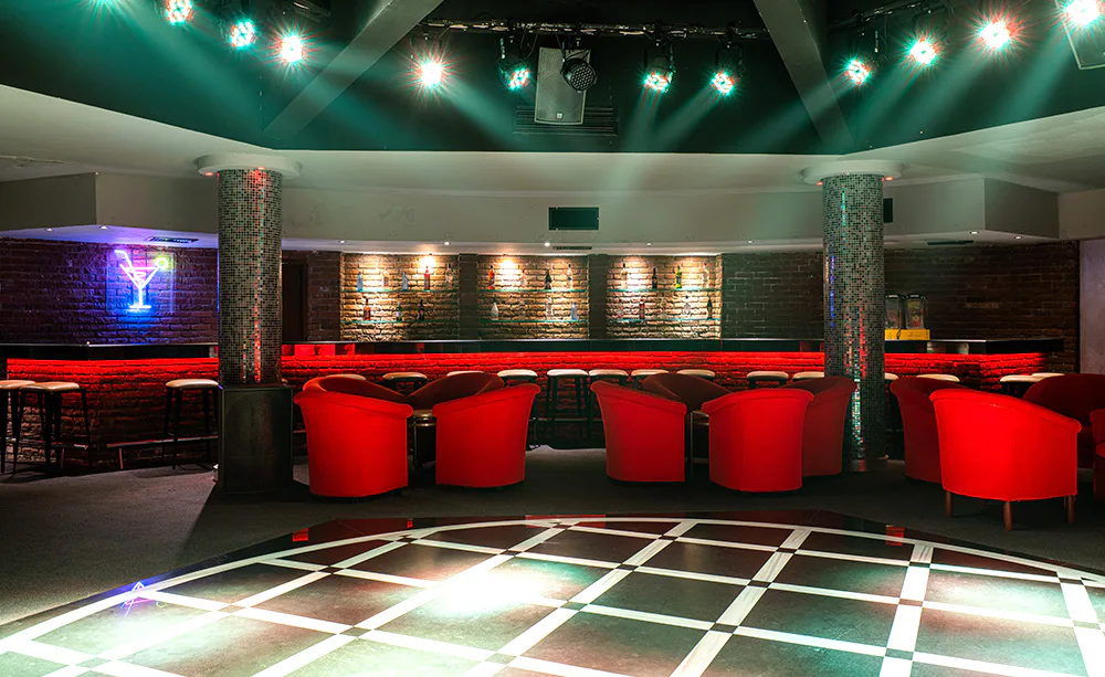 Gazania Disco Bar