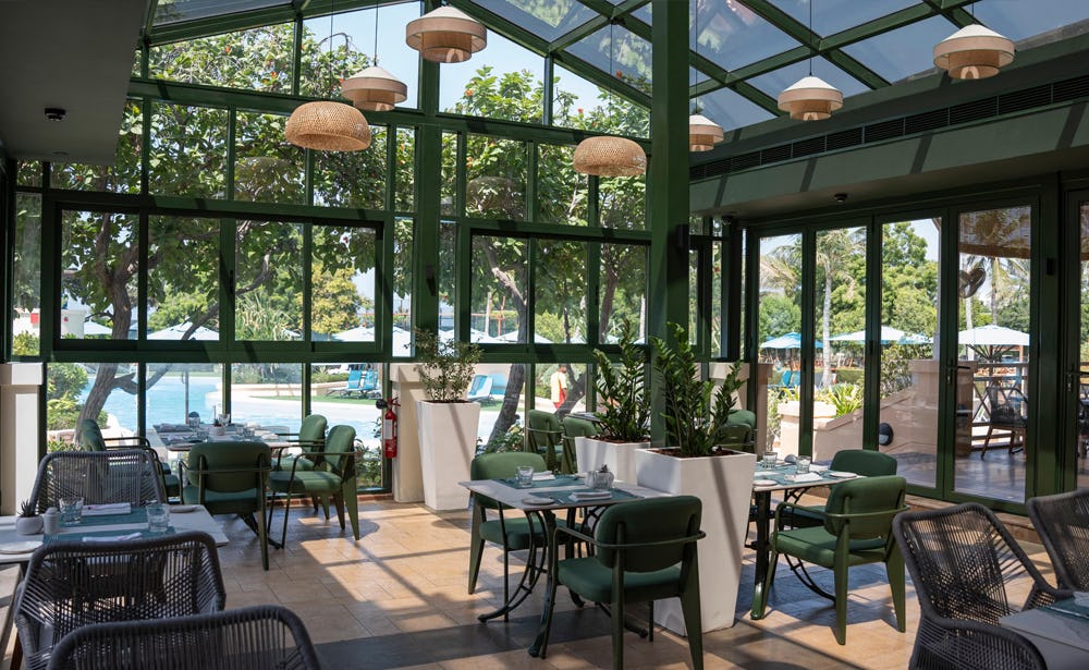 Authentic Italian at Trattoria Tomato