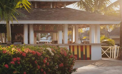 Barefoot JerkZ - Jamaican Barbecue