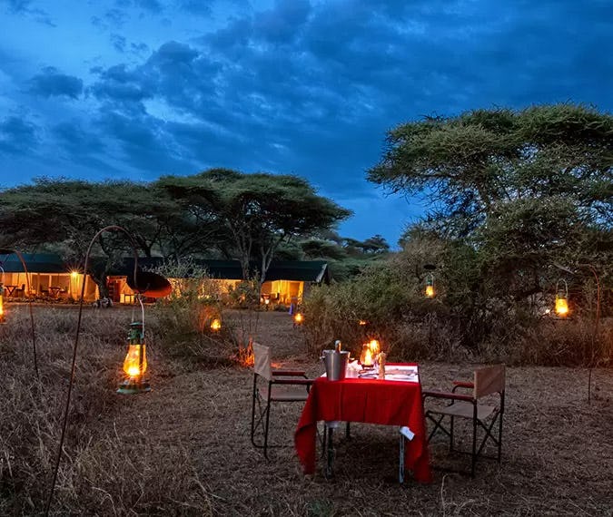 Bush Dining