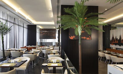 C.TASTE International