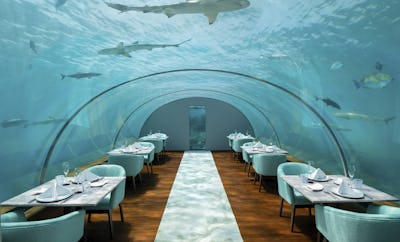 ITHAA UNDERSEA RESTAURANT