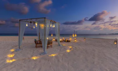 DESTINATION DINING