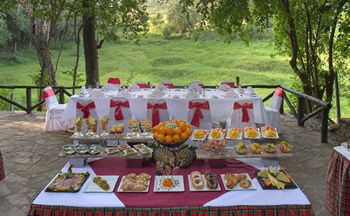 DINNER ON OUR PRIVATE DECK GARDEN
