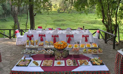 DINNER ON OUR PRIVATE DECK GARDEN