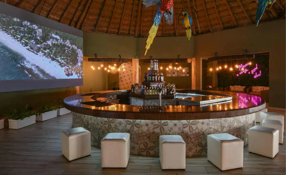 Bar Guacamayas