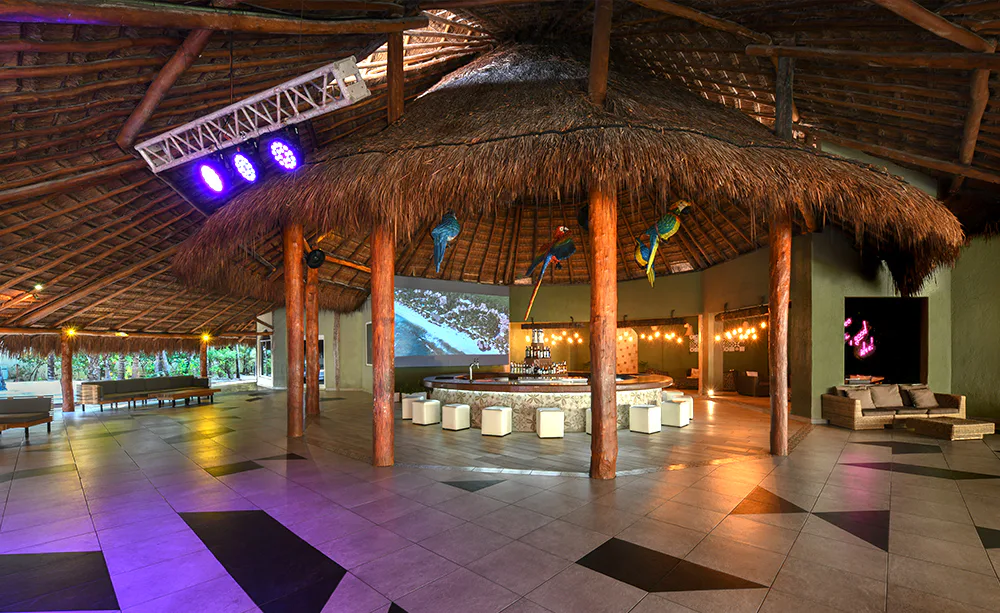 Guacamayas