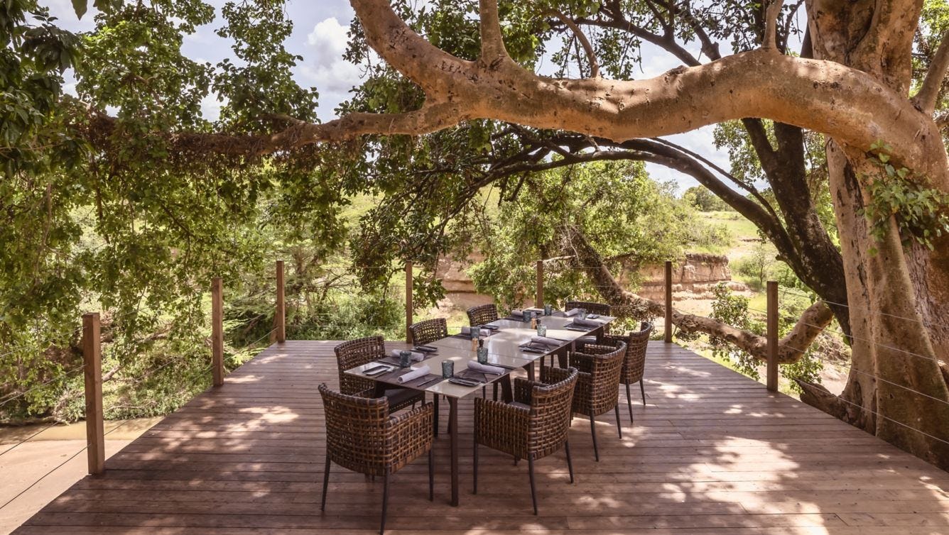 FIG TREE LOUNGE AND DECK