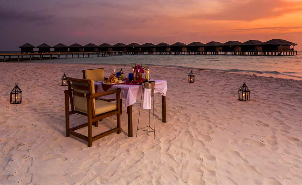 Dinner On The Beach