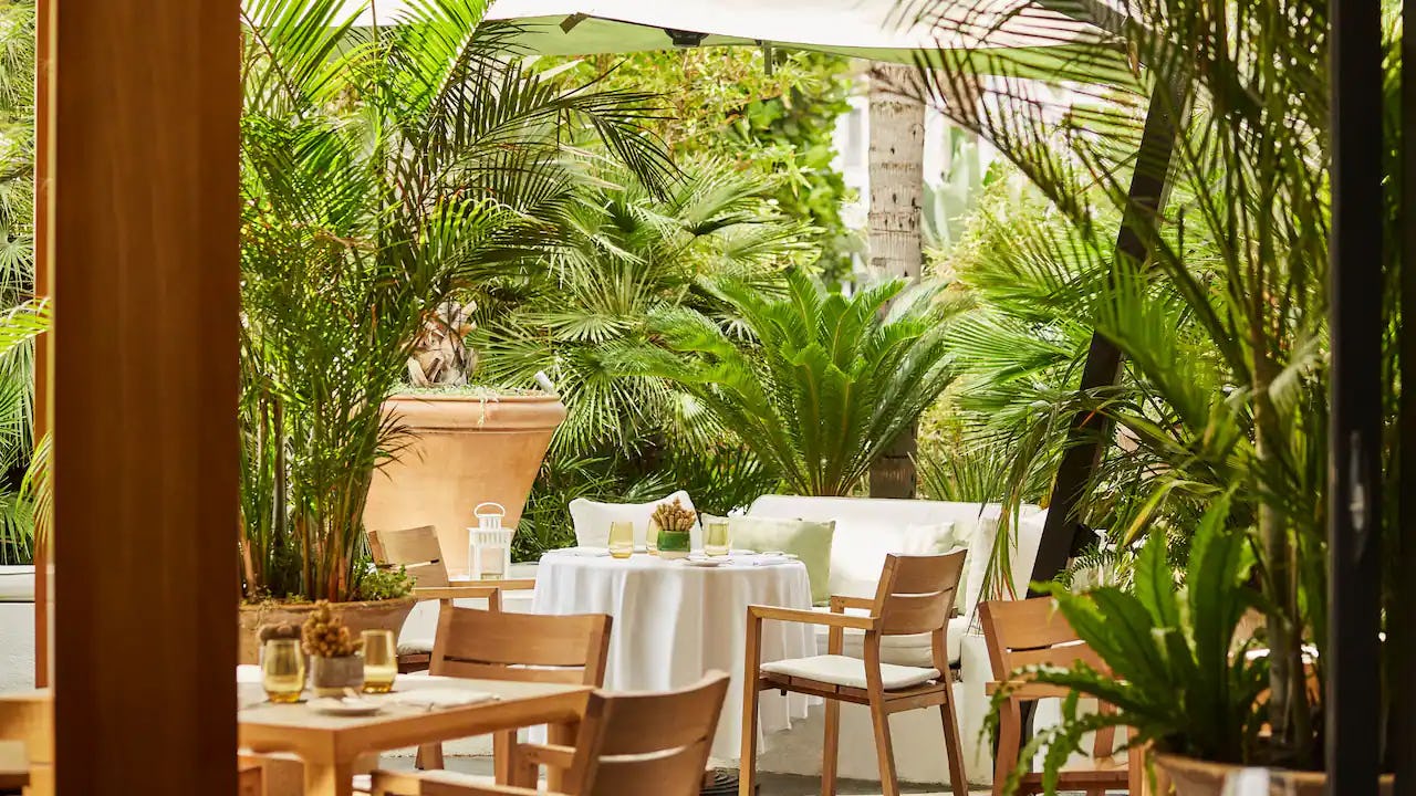 French Brasserie Café M