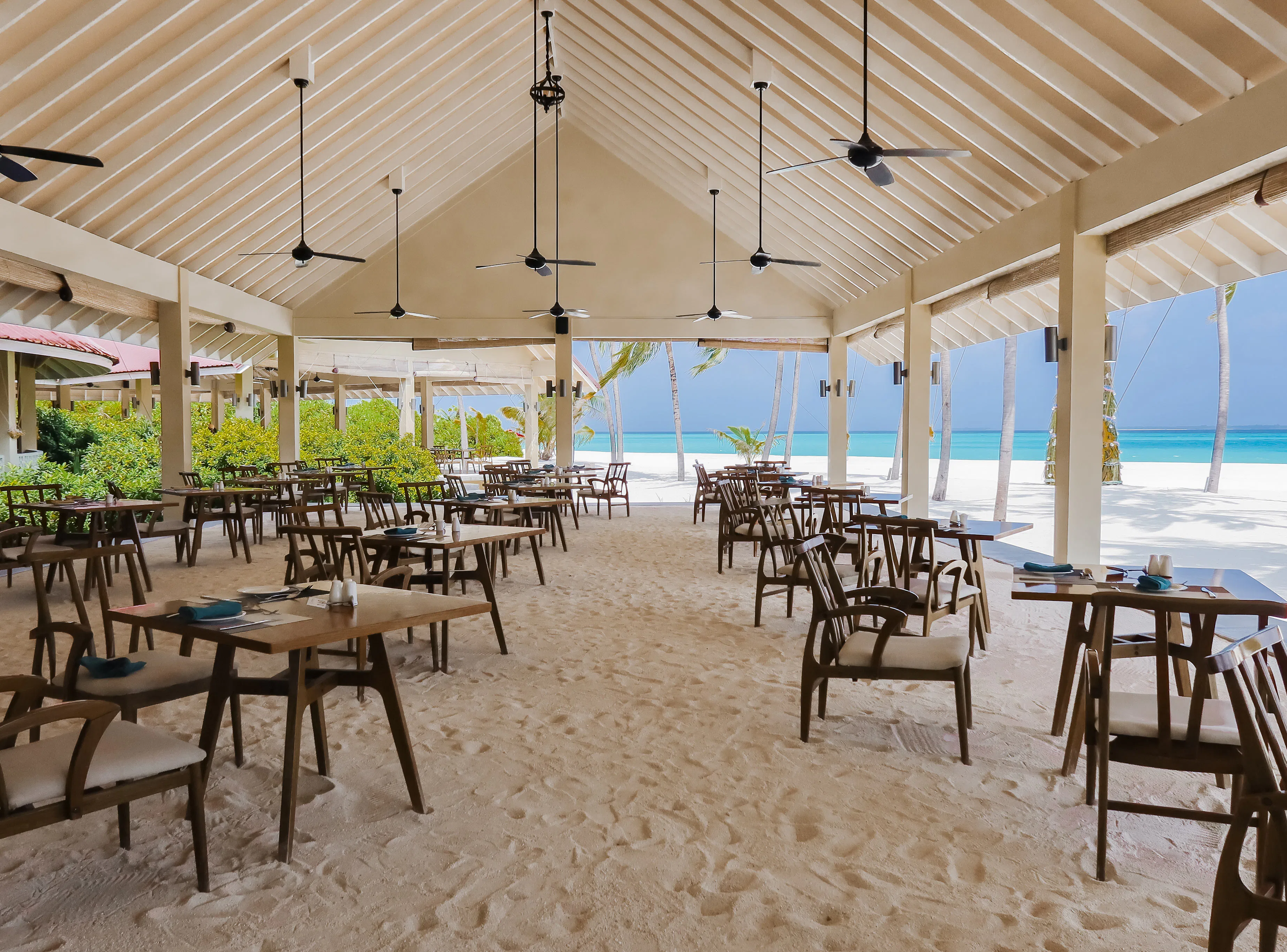 Special Beach Dinner