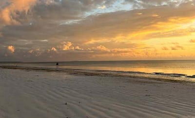 BEACH DINING EXPERIENCES