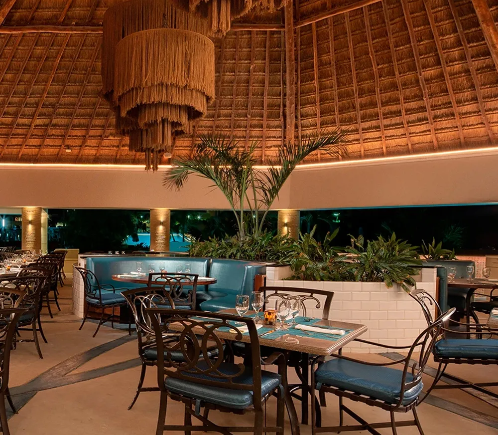 Palapa Asadero