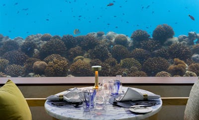 Only BLU (Under Ocean Restaurant)