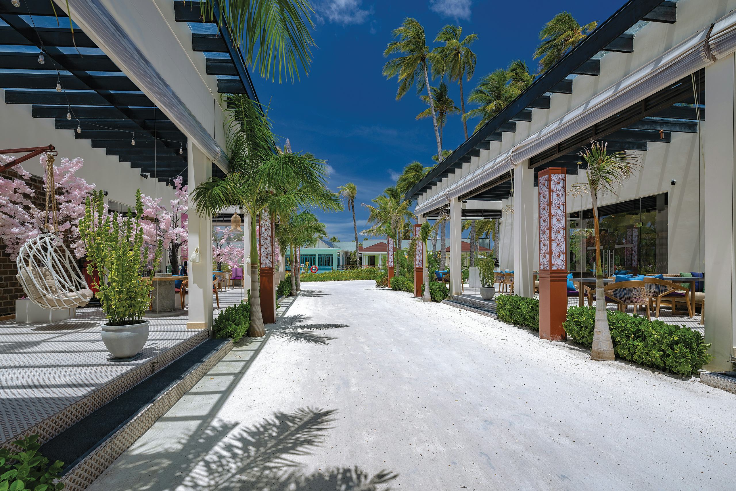 THE WINE, COFFEE & PASTRY SHOP