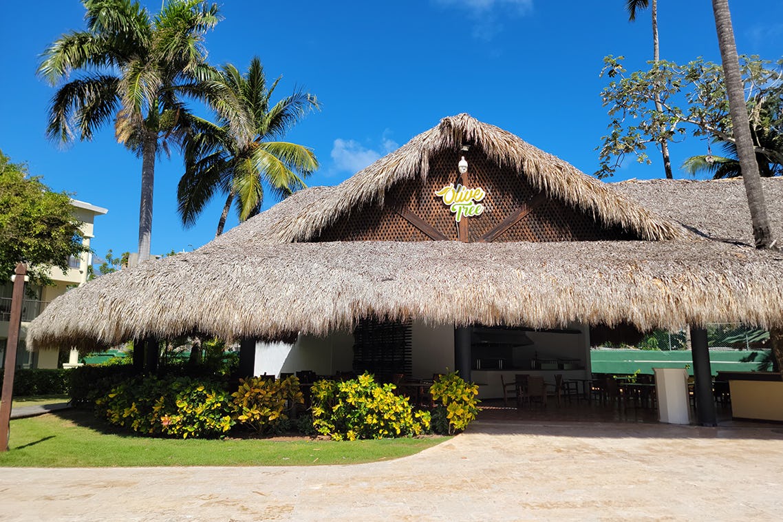 Olive Tree Restaurant