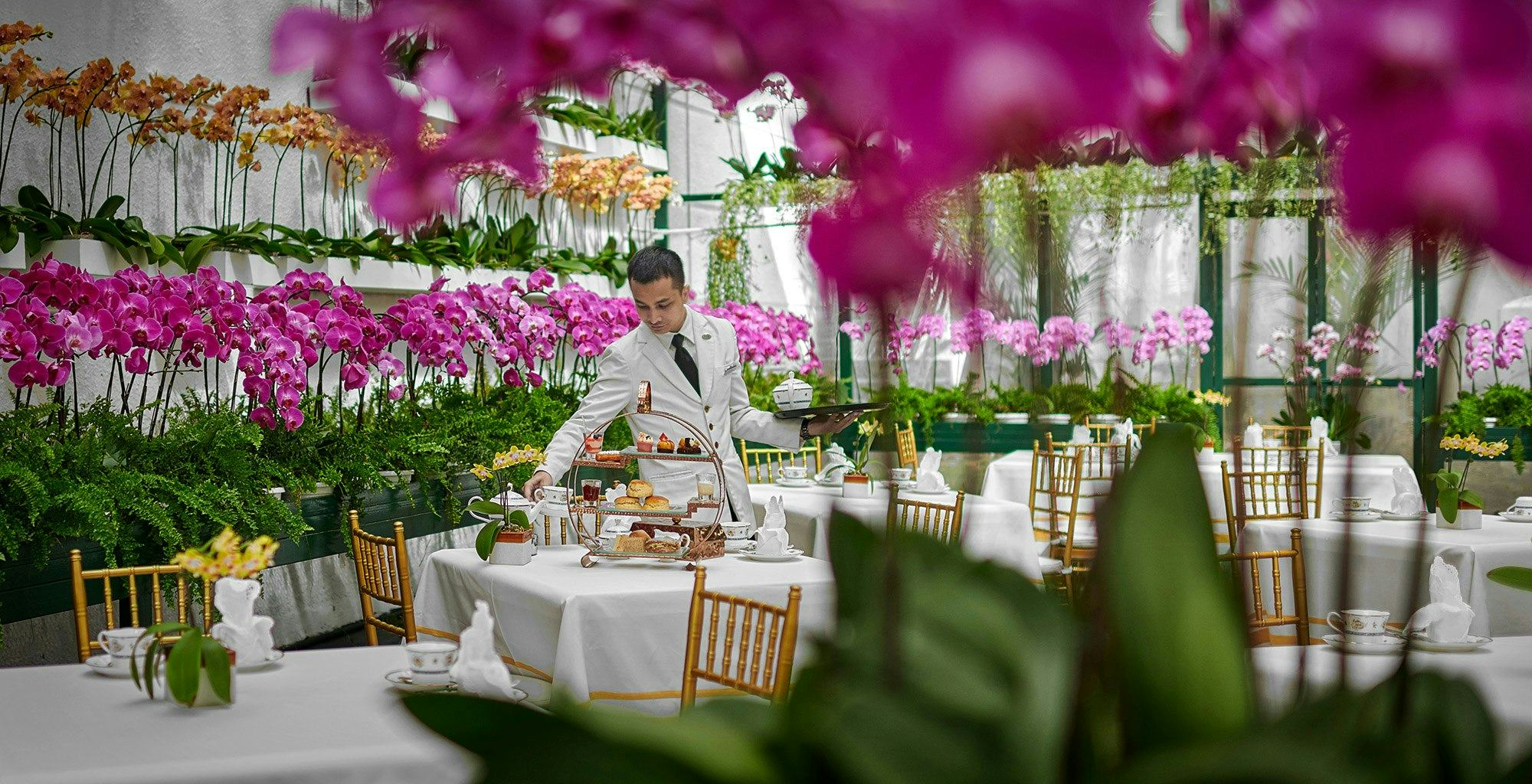 The Orchid Conservatory