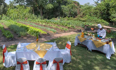 ORGANIC GARDEN LUNCH AND COOKING CLASSES