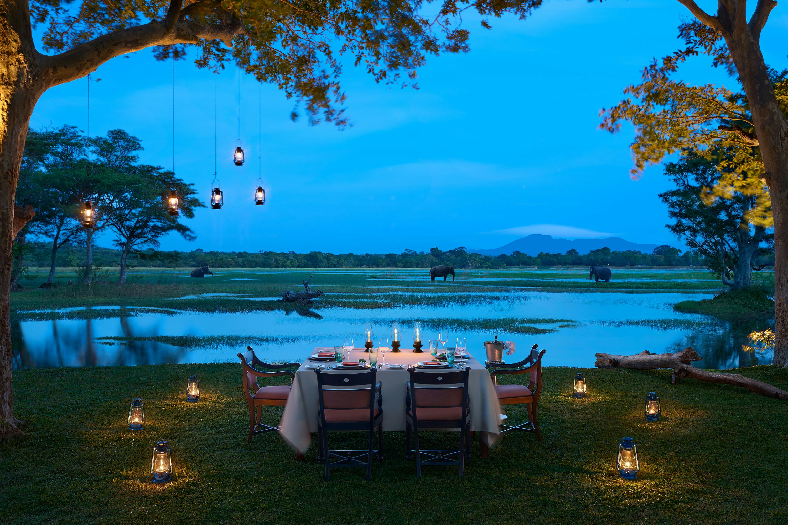 Private Dining at the Treetop