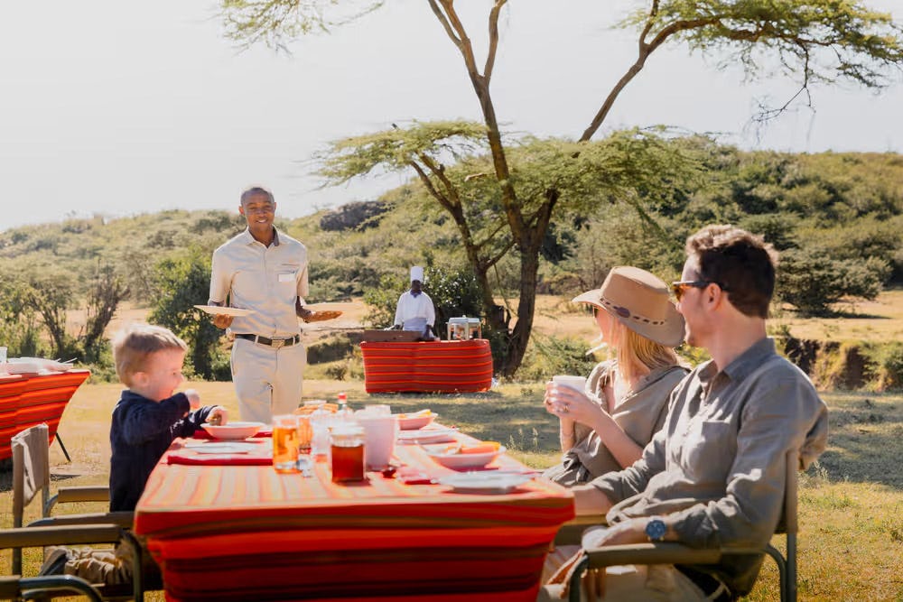 Safari dining