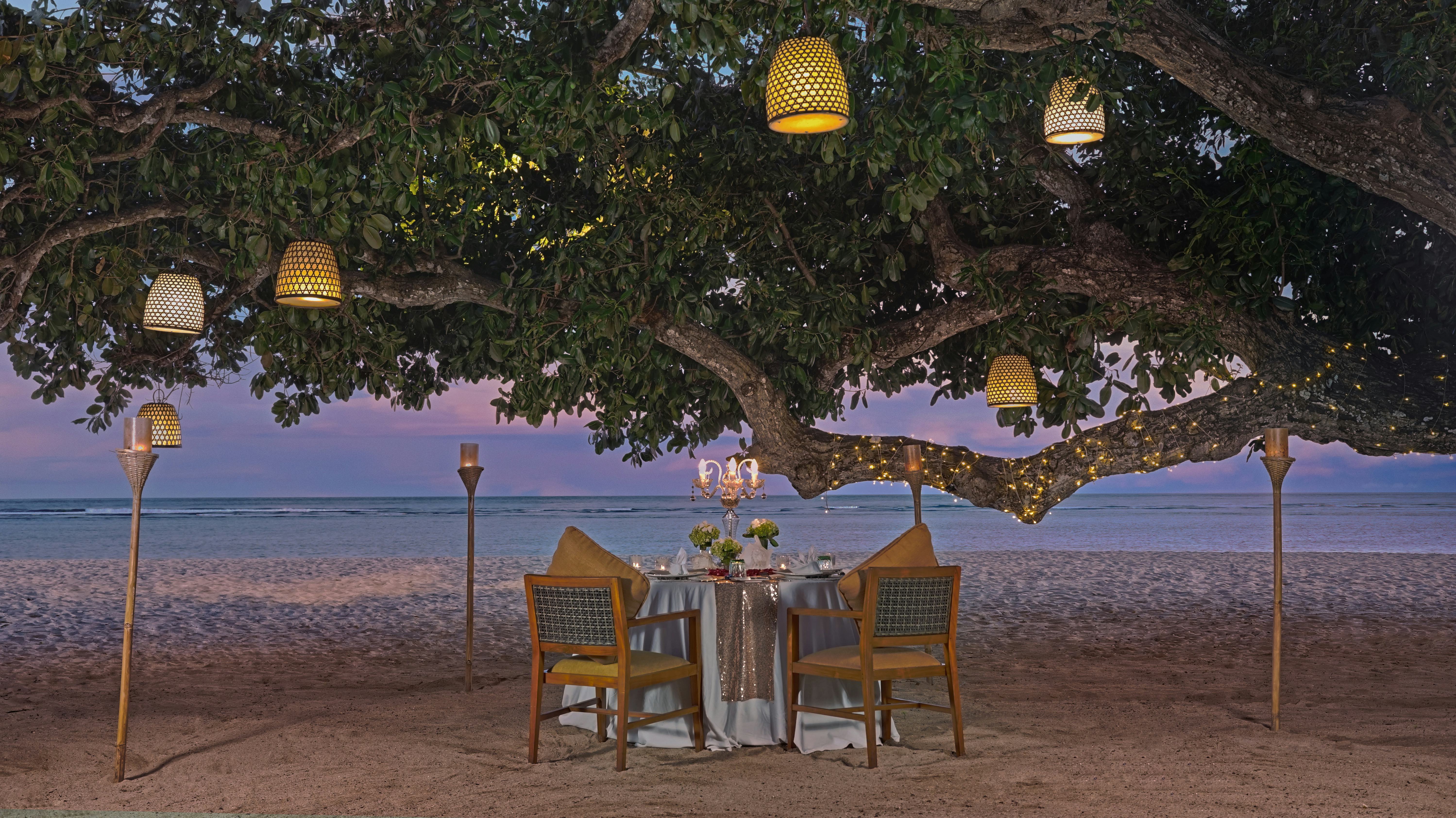 Romantic Dining  Experience