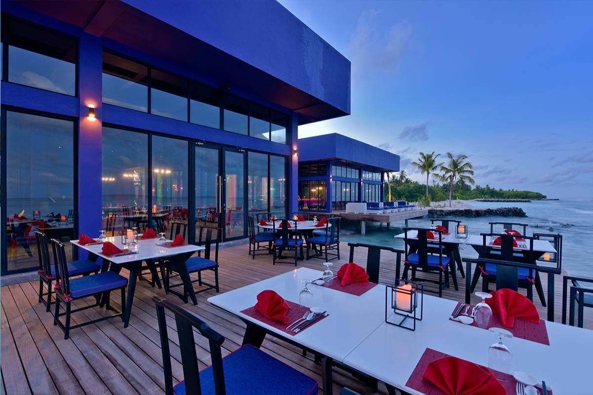 Sea Dragon & Forbidden Bar