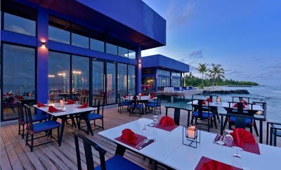 Sea Dragon & Forbidden Bar