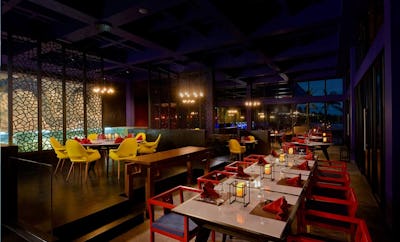 Sea Dragon & Forbidden Bar