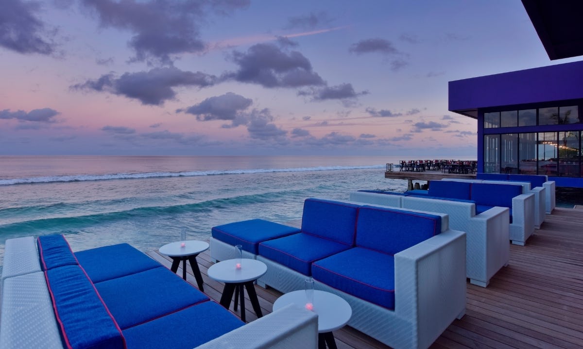 Sea Dragon & Forbidden Bar