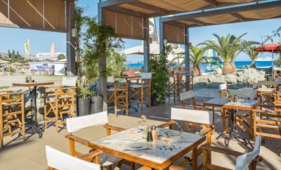 Seashells Healthy Living