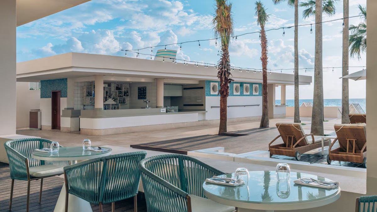 Snack Bar White Shark