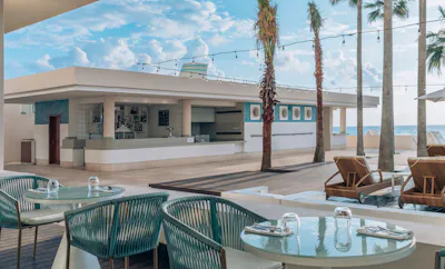 Snack Bar White Shark