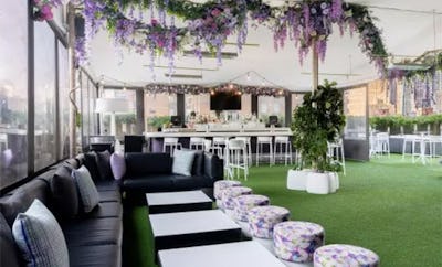 Social Drink and Food