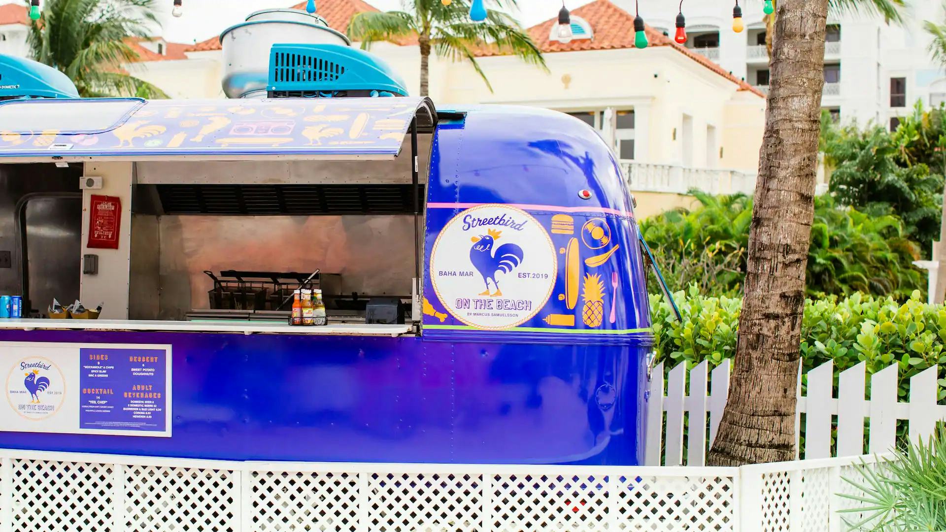 Streetbird on The Beach