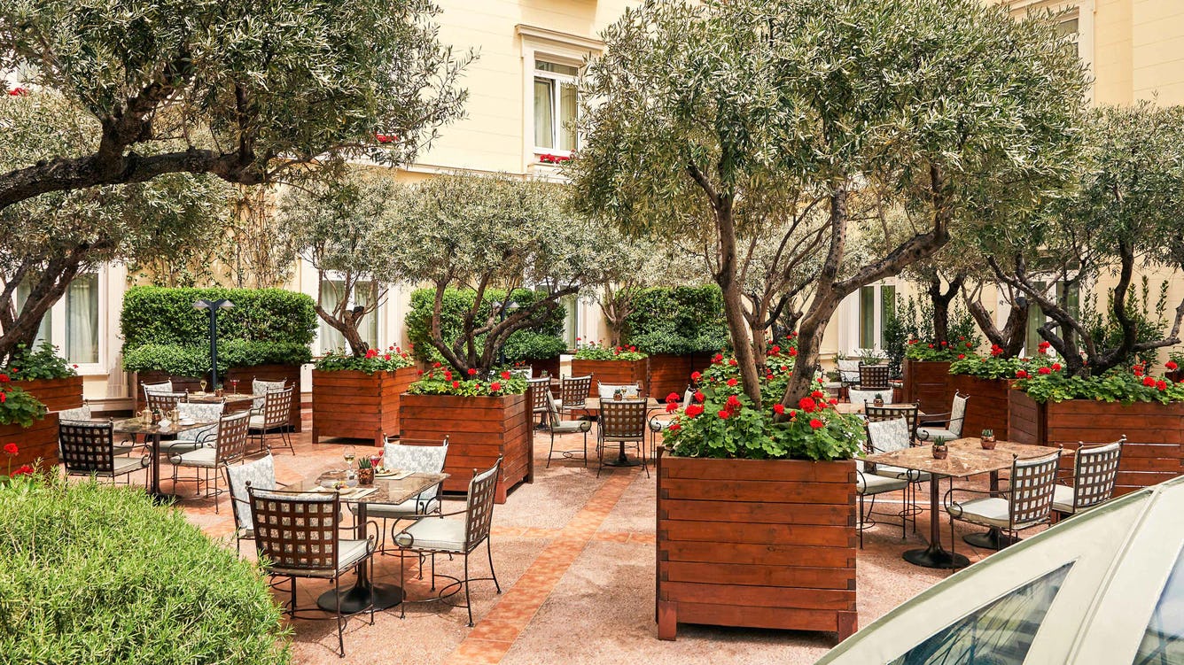 THE ATRIUM of Alexander