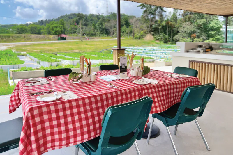 Veggie Nature Café