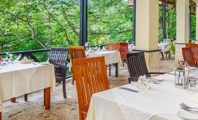 The Treehouse Restaurant