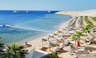 White Knight Beach Bar